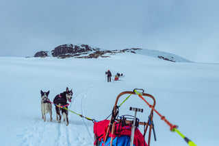 Lanullva Drømmer du om vintertur med snødekte fjell, dansende nordlys og klare stjernenetter?